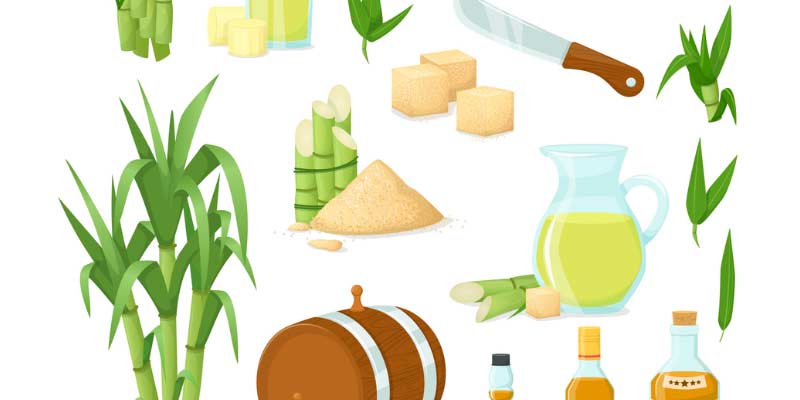 ingredientes-para-elaborar-el-ron-cubano