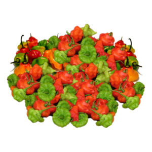 Ají Cachucha (3 Lb)