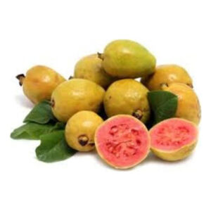 Guayaba (5 Lb)