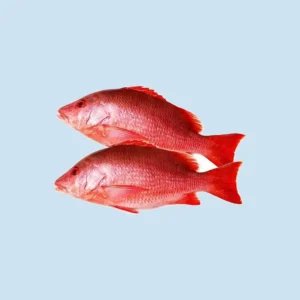 Pescados y Mariscos