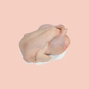 Pollo